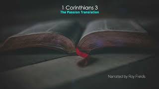 1 Corinthians 3 (TPT) The Passion Translation narrated by Roy Fields