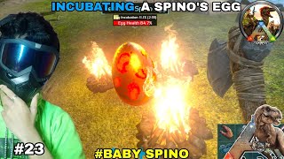 INCUBATING A SPINO EGG / BABY SPINO