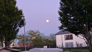 Luna piena ieri XXX—IV—MMXXVI