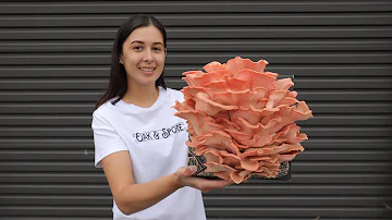 How much land is required for mushroom farming?