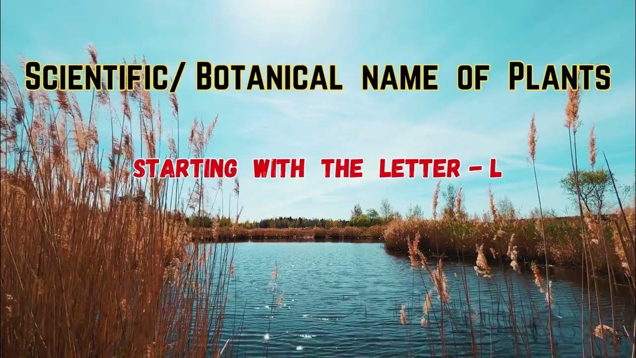 Scientific/Botanical name of plants/how to pronounce Genus,species