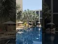 الفتي في نور وجهك بلقيس 