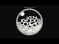Modest Mouse - Absolutely Necessary Never (Official Audio)