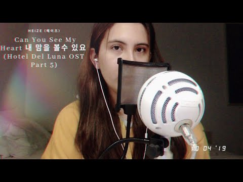 HEIZE - 내 맘을 볼수 있나요 (Can You See My Heart?) || VOCAL COVER ||