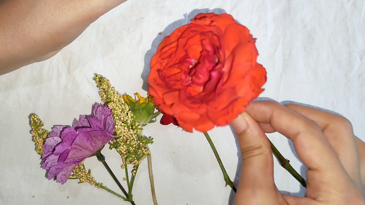 تركيب الزهرة