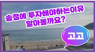 "송정블루캐슬 레지던스 " 송정 최초 취사가능한 호텔 /입지 최고 /바다뷰 영구조망호텔 | 고은TV