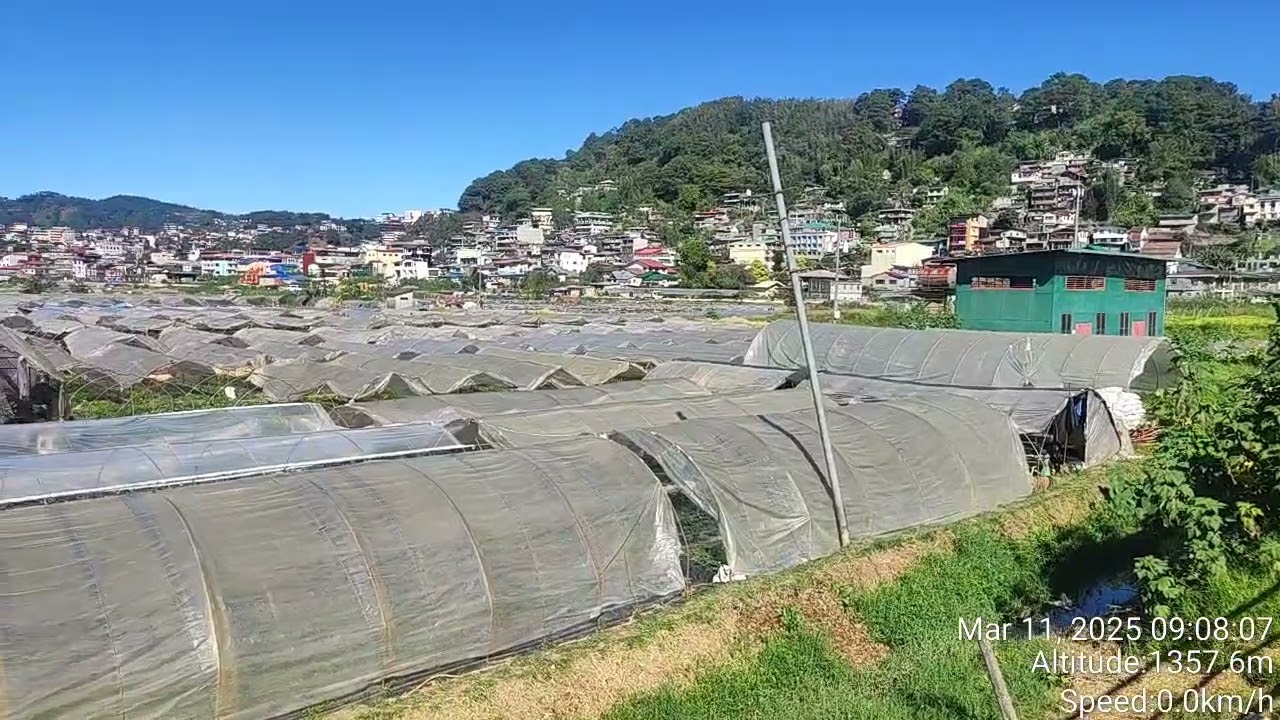 Strawberry Farm at Baguio City