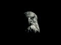 Dark Trap/Dark Sample Beats ’'Phoenix’’
