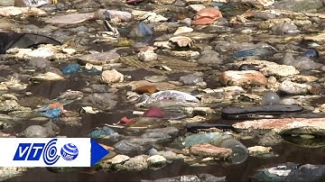 Bãi rác tạm hủy hoại môi trường ở Đồng Nai | VTC