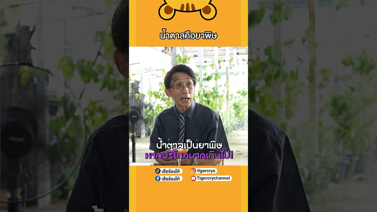 น้ำตาลเป็นยาพิษที่หากินง่ายที่สุด #เสือร้องไห้ #TigerShorts #shorts #น้ำตาล