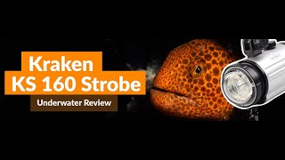 Kraken KS160 Strobe Review // Ultimate Power and Speed!