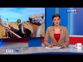 Прямая трансляция Вести Крым