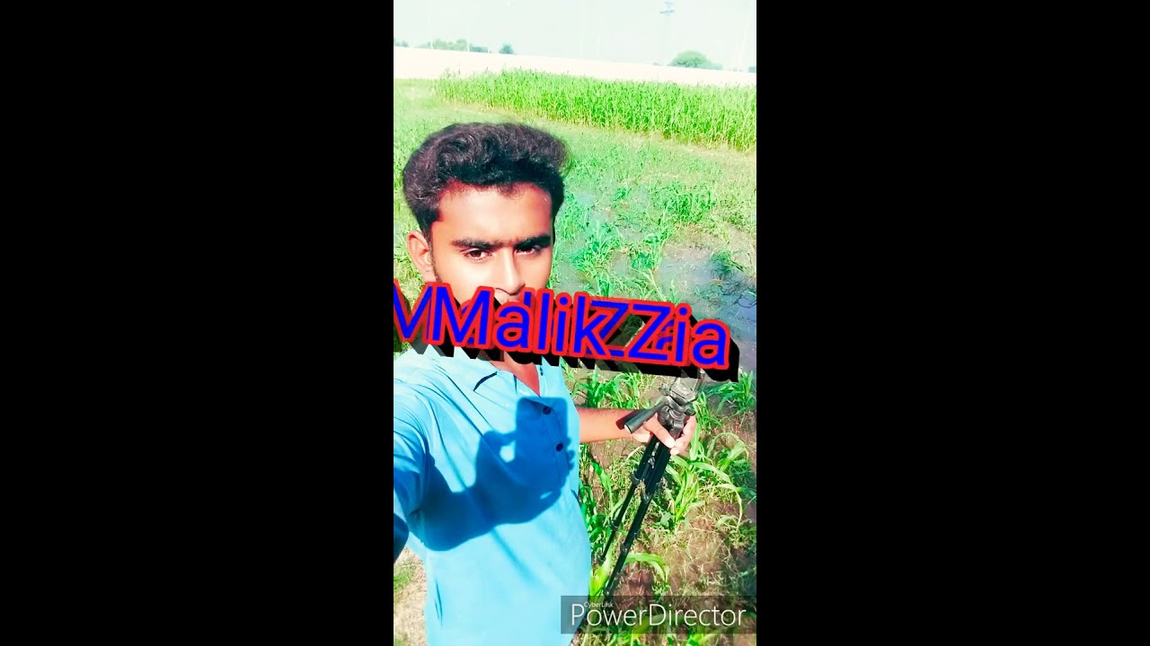 Kalia Zulfa kuch Maya | New Saraiki  Song 2019