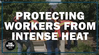 Biden launches plan to protect workers from impact of rising heat