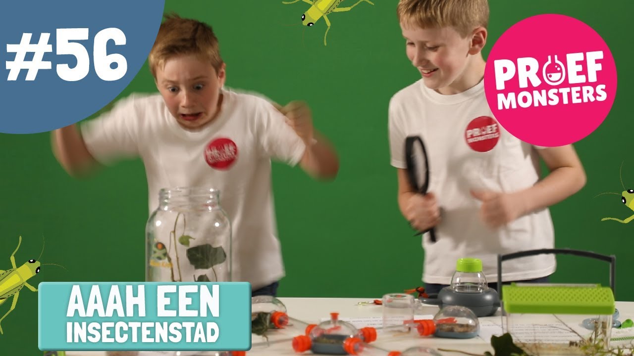 #56 Insectenstad - Proefmonsters