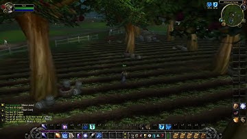 WoW personal server GM practice