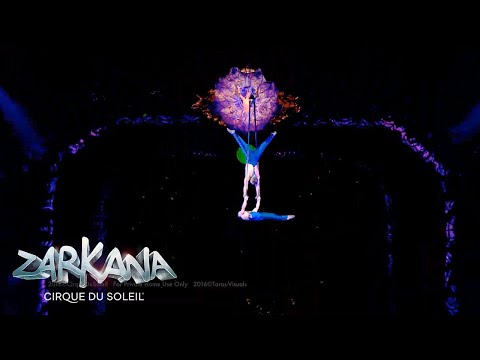 Aerial Straps | Zarkana by Cirque du Soleil (Las Vegas)