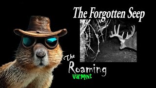 The Forgotten Seep