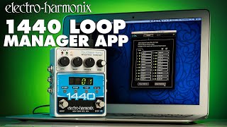 Electro-harmonix® 1440 Pedal Looper Stereo USB video