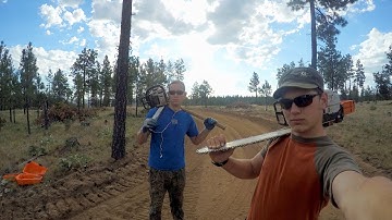 Clearing a Grove of Trees | 4k Timelapse