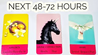 Pick Next 4872 Hours  Energy Checkin  Whats Coming Next For You  Timeless 