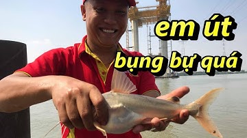 Giải trí sông nước - Tập 15 - Câu cá út sông Nhà bè - Phần 2 | Cá út khổng lồ - Giải trí NTC