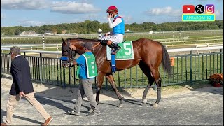 Barnes a Heavy Favorite in the 2025 Gallant Bob Stakes Profile