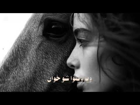 دكتور بيا الوجع الشامي جديد 2025