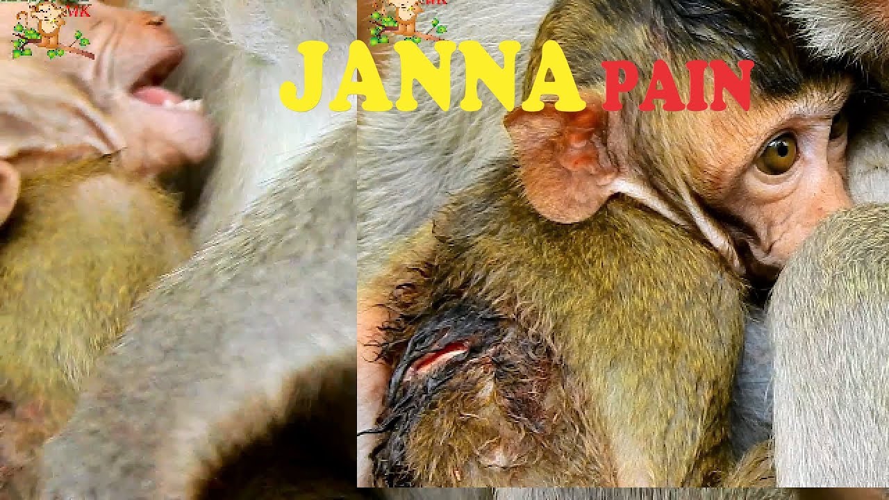 MILLION PITY BABY JANNA CRY HURT DID WRONG MOM JANA SHORT TIME , JANNA COZ HURT CAN'T MOVE |