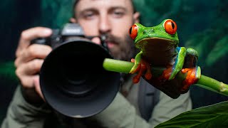 Podría grabar un documental aquí!