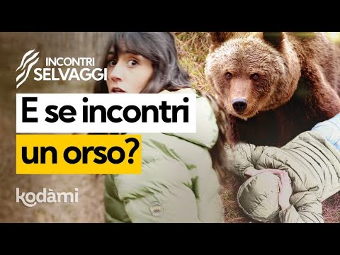 Video: Cosa devi sapere sulla sicurezza degli orsi