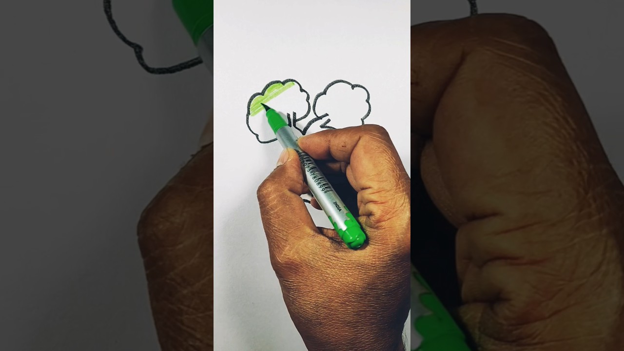 Nature’s Touch | 11 | Drawing Shorts 