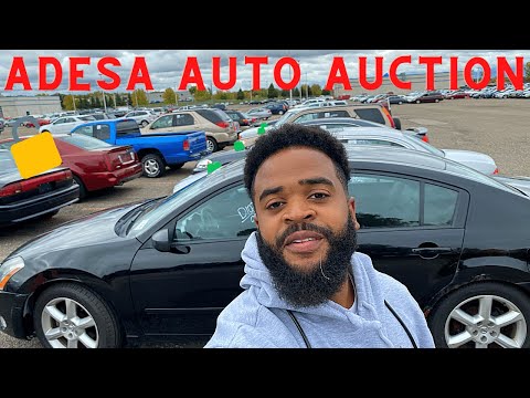 ADESA AUTO AUCTION PREVIEW & TEST DRIVE OF USED CAR INVENTORY | INSIDE CAR DEALER AUCTION 10/2020