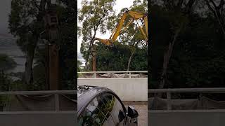 Famous EXCAVATOR TRACKS SQUEAKING BADLY😔 Profile