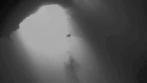 Living Visions - Shinra (Psybient)