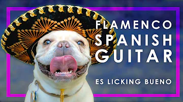 (9) HOUR FLAMENCO SPANISH GUITAR | RELAXING ACOUSTIC GUITAR INSTRUMENTAL MUSIC FOR STUDYING