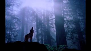 Cosmic Chants - Wolfs Blood (Pentagram Tribute Cover)