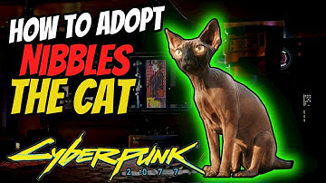 Cyberpunk 2077 How to Adopt Nibbles the Cat