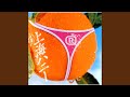 上海ハニー 〜上海style〜