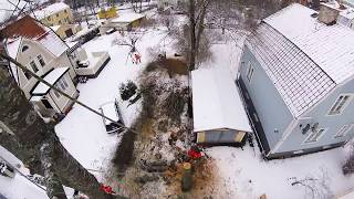 Cherry tree dismantle