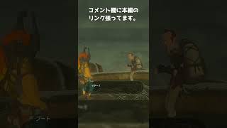 【ゼルダの伝説 BotW】鳥人間になろう！ screenshot 1