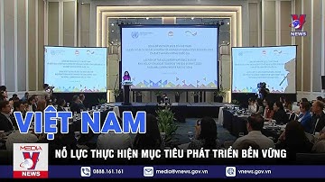 Việt Nam nỗ lực thực hiện mục tiêu phát triển bền vững  - VNEWS