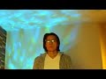安全地帯/ワインレッドの心【うたスキ動画】