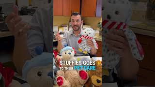 2025 Thank you, Petsmart, for stuffed animals!