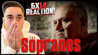 Film Student Watches THE SOPRANOS s6ep14 for the FIRST TIME 'Stage 5' Reaction!