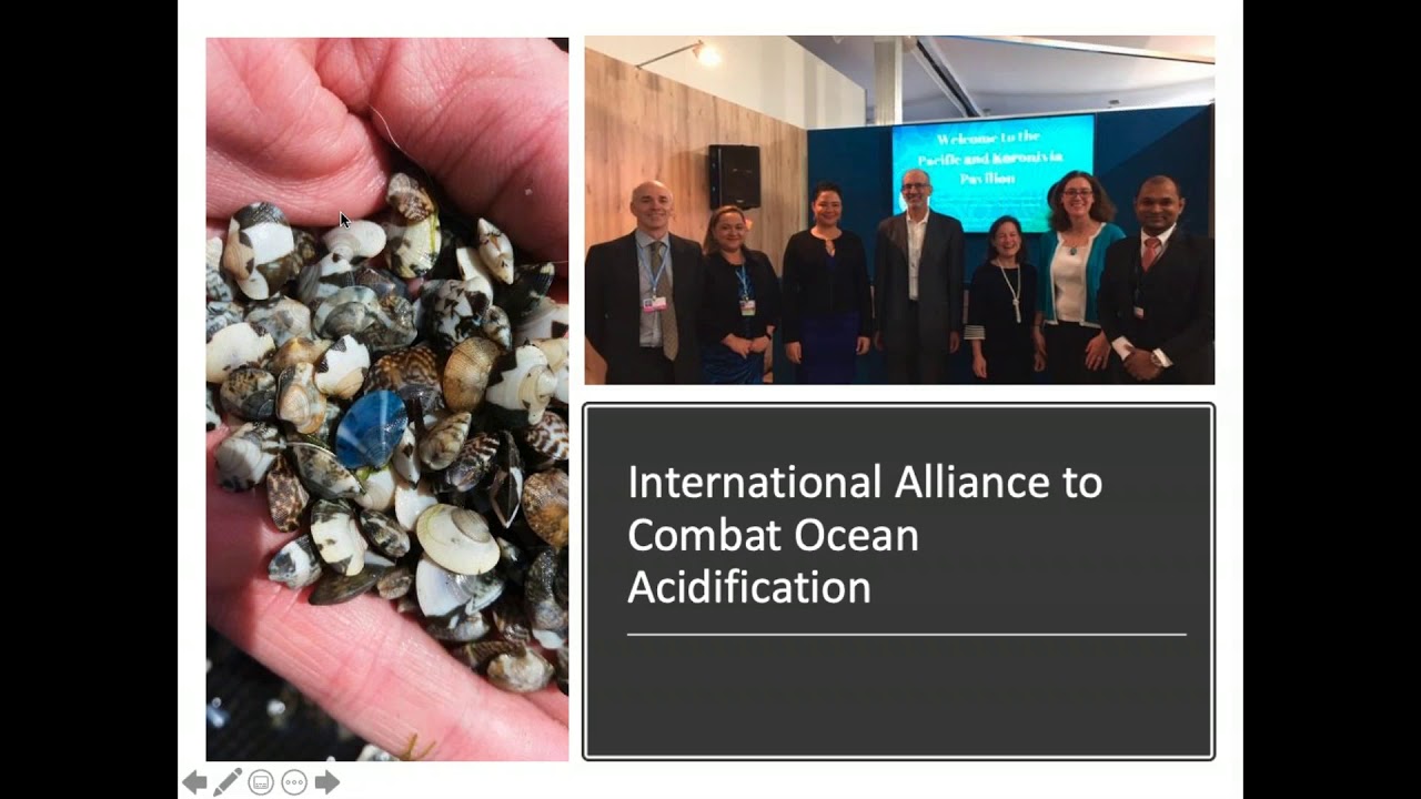 Intro to Ocean Acidification Action Planning