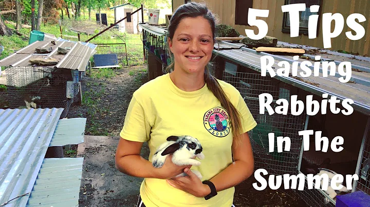 5 Easy Ways To Keep Your Rabbits Cool In The Summer Heat! - DayDayNews