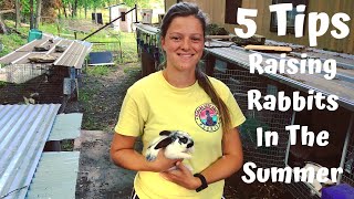 5 Easy Ways To Keep Your Rabbits Cool In The Summer Heat!
