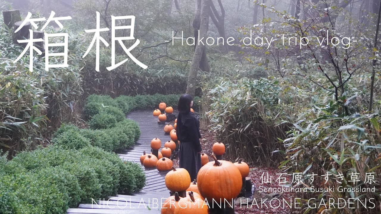 【箱根旅行】秋の日帰り箱根旅｜仙石原すすき草原｜ニコライ バーグマン 箱根 ガーデンズ