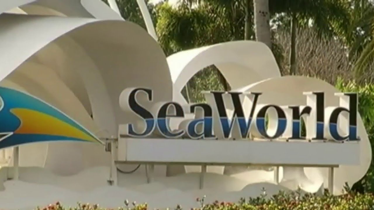 SeaWorld stock investigation underway